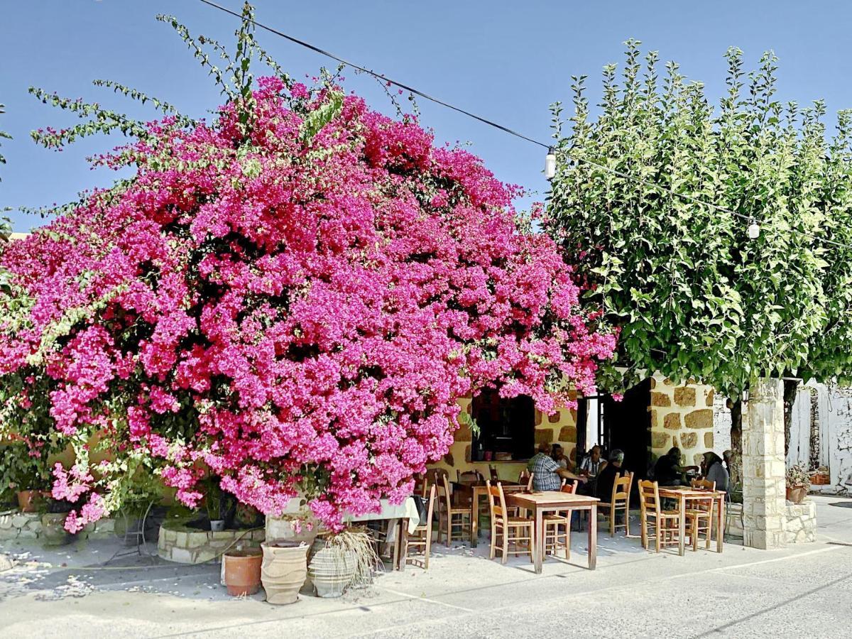 Villa Artemis Vryses Crete Alikampos 外观 照片